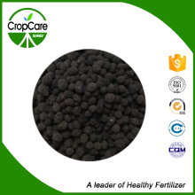 Granular Organic Compound NPK Fertilizer